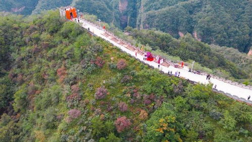 多彩假期 活力文旅 探索景區(qū)管理新路徑